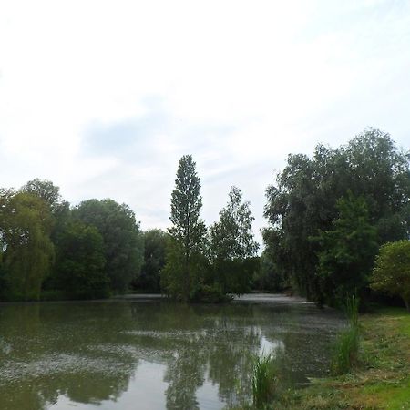 Domaine De La Helliere Hotel Lailly-en-Val Eksteriør billede