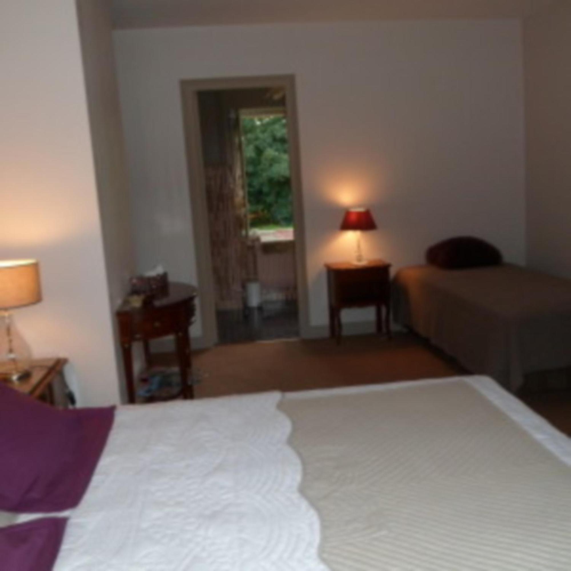 Domaine De La Helliere Hotel Lailly-en-Val Værelse billede